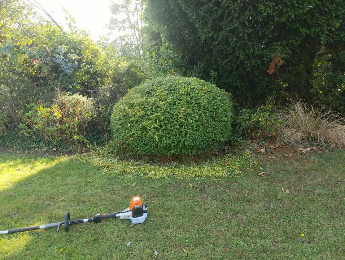 Hedge Cutting